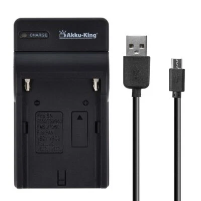 MARKENLOS USB-Akku-Ladegerät für Gitarren Akku / Battery Pack Line 6 BA12