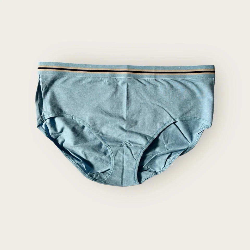 Lane Bryant Cacique Cotton High Leg Brief Panty Wide Waistband 14/16 (8846) Foto 1 de 1