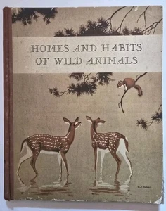 1934 Homes And Habits Of Wild Animals Walter Weber Illustrated FULL COLOR Book - Foto 1 di 16