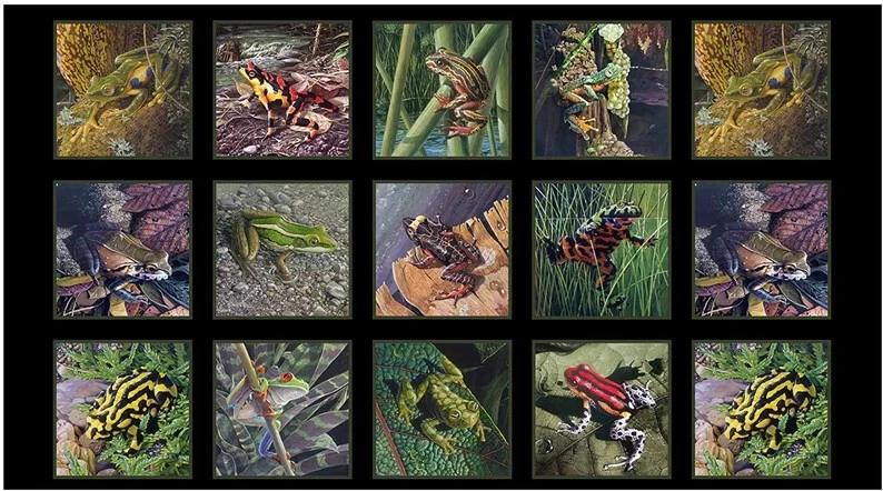 Elizabeth's Studio ~ Realistic Frog Squares ~ 100% Cotton Quilt Fabric Panels - Image 1 of 1