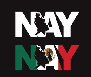 Nayarit letters Decal Car Window Laptop Map Vinyl Sticker Mexico NAY MX - Picture 1 of 11