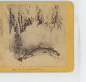 Seven Pound Forellenangeln Genre Kilburn Stereoview - Bild 1 von 2