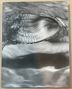 Mermaids SIGNED by Michael Dweck / First Edition / Ditch Plains Press 2008 - Imagen 1 de 14