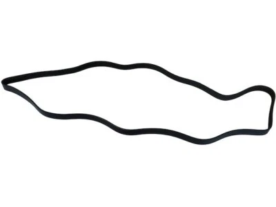 Cinturón multi costilla para Nissan NV3500 2012-2019 33759KFQZ 2013 2014 2015 2016 2017 Foto 1 de 2