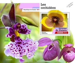 ORCHIDS / Orchid Wild Flowers MNH 1v-Stamp Sheet #35 (2020 Guinea) - Picture 1 of 1