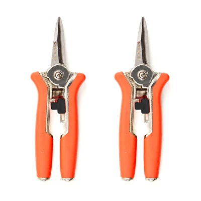 2x Feinschnitt Edelstahl Gartenschere 16cm Blumen Pflanzen Schere Pflanzenschere - Bild 1 von 3