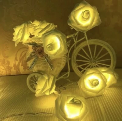 WISDOM Luci Di Natale A Batteria con 10 Rose luminose bianche a led luce calda 2 metri