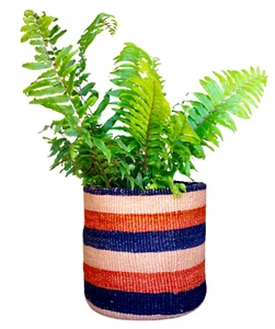 African Kiondo Basket Woven Sisal Storage Planter Kenyan Made 10.5 in/27cm Beige - Picture 1 of 8