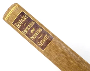 Botany: Principles And Problems by Edmund W. Sinnott ©1929 - Picture 1 of 14