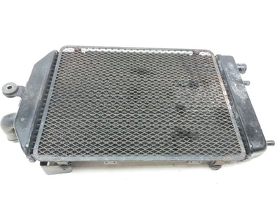 Классический юбилейный радиатор 09 Kawasaki Vulcan 1700 с защитой крышки гриля - Изображение 1 из 4