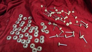 5/8" Nu Pearl or Parchment Seat Upholstery Buttons Prong Back Pontiac Buick Olds - Picture 1 of 4