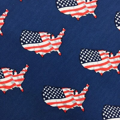 Corbata RIVETY OF BOSTON 59x4 Estados Unidos América Bandera Patriótica Elección GOP DEMOS Foto 1 de 4