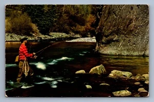 Postkarte Vintage Menschen Mann Fliegen werfen Angeln im Freien Natur - Bild 1 von 2