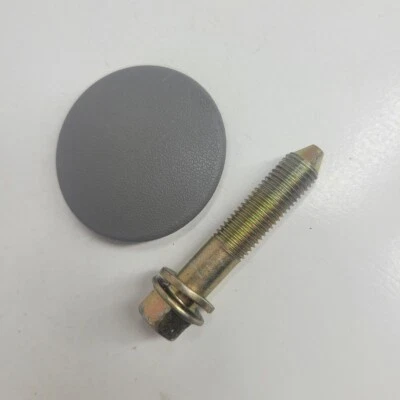 2005-2010 Toyota Sienna Bucket Seat Armrest Bolt Screw with Cap Gray OEM - Image 1 of 3