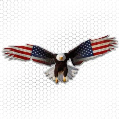 American Flag Bald Eagle Sticker Decal USA for Truck Window Tool Box Bumper Jeep - Image 1 of 3