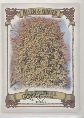 2021 Topps Allen & Ginter's Arboreal Appreciation Holly #AA-13 - Image 1 of 2