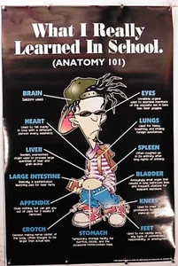 Anatomy 101 WHAT I REALLY LEARNED IN SCHOOL 24.25" X 35.50" NOS (b477) - Picture 1 of 3