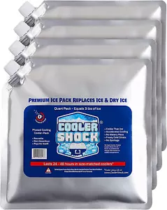 Cooler Shock Reusable Ice Packs 10x10 for Coolers Lunch Bags Long-Lasting Cold❄️ - Picture 1 of 12