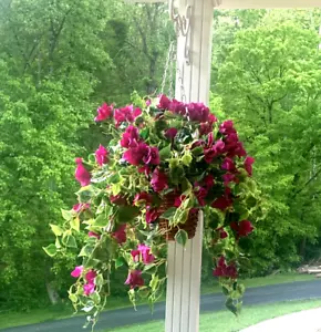 Artificial Flowers Hanging Basket with Bougainvillea Silk Vine Flowers for Outd - Picture 1 of 10