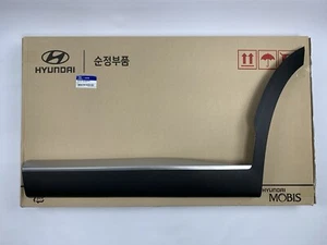 Rear Door Lower Molding 2020-2025 Palisade Limited Left Driver Side Satin Chrome - Picture 1 of 8