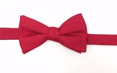 $100 Vestido Alfani Para Hombres Paisley Rojo Pajarita Formal Clásico Ajustable Pajarita Foto 1 de 4