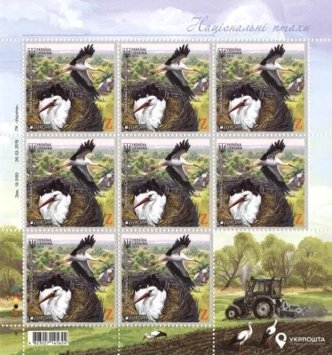 SELLOS MUY RAROS de Ucrania 2019 "Cigüeña Blanca (Ciconia)" HOJA FRANQUEO COMPLETA Foto 1 de 3