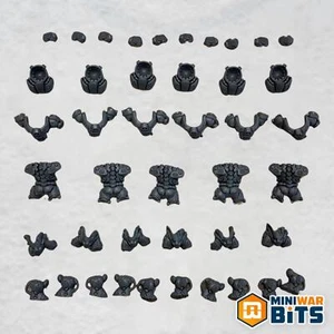 Einhyr Hearthguard Torso & Leg Bits - Warhammer 40k Leagues of Votann - Bild 1 von 1