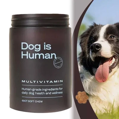 Dog Is Human Daily Multivitamin Dog-Health & Wellness Beef Flavor 60 Count~ - Image 1 of 4