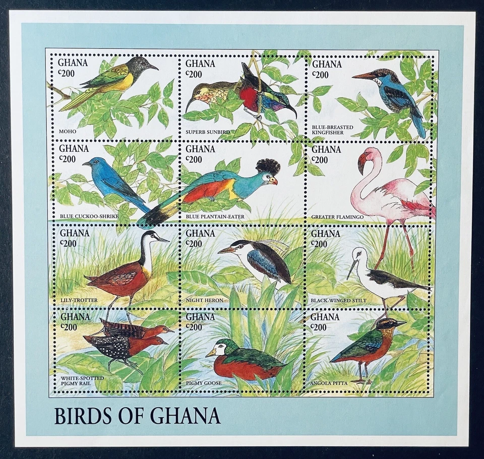 FOLHA DE SELOS DE PÁSSAROS DE GANA 1994 MNH FLAMINGO KINGFISHER FAUNA GARÇA VIDA SELVAGEM 1 - Imagem 1 de 1