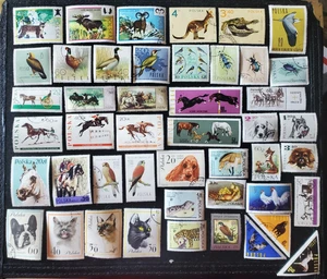 47 Sellos Polonia - Lote #62w Flora y Fauna - Imagen 1 de 1