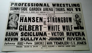 Poster WWWF Wrestling, vetrina 26x17, 1976 Sunnyside Garden Arena, NY - Foto 1 di 4