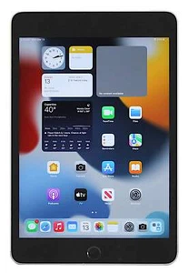 Apple iPad Mini 4 Tablet, 16GB, WiFi, Space Grey, A1538 - Picture 1 of 8