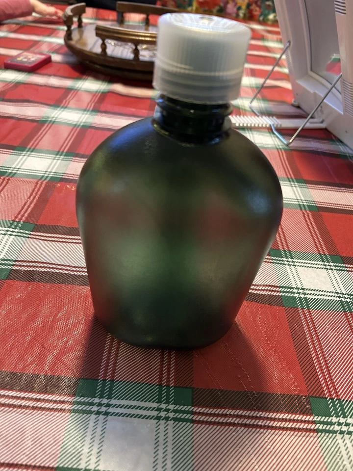 Nalgene Sustain Oasis Narrow Mouth 32 oz Green Canteen Water Bottle w/clear Cap