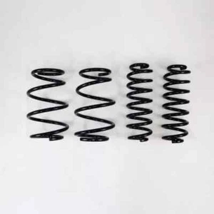 RS-R T078D for 2019+ Toyota RAV4 (AWD) Down Lowering Springs - Bild 1 von 1