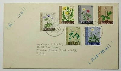 Cubierta de correo aéreo de flores silvestres y salmón de Islandia de 1960 de Reikiavik a South Bend IN Foto 1 de 2
