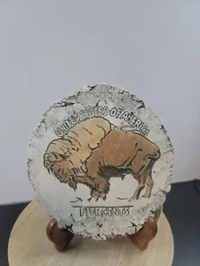 Shapes of Clay by Stan Mt St Helens Ash USA Five Cents Buffalo  Plaque signed 7" - Picture 1 of 8