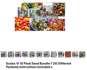 Susies π 10 Pack Seed Bundle 1 (10 DIfferent Packets) Instructions Included x - Picture 1 of 16