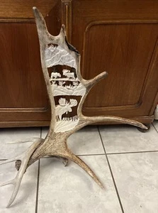 Moose Caribou Antler Shed Hand Carved Sculpture Signed DAWG 12-18 - Picture 1 of 10