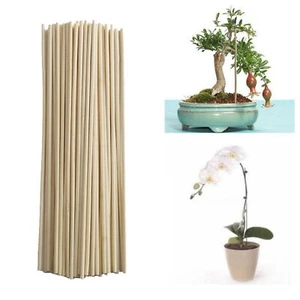 50pc Wooden Sticks Stakes Kit For Garden Plants Support Tomatoes Peas AU - Picture 1 of 8