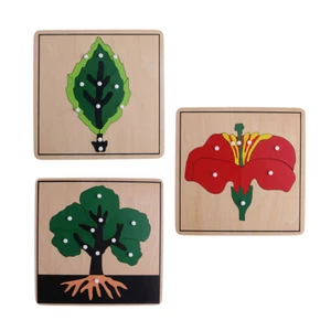 Materiale Botanico Montessori - 3 Puzzle A Forma Di Pianta Per Giocattoli - Foto 1 di 12