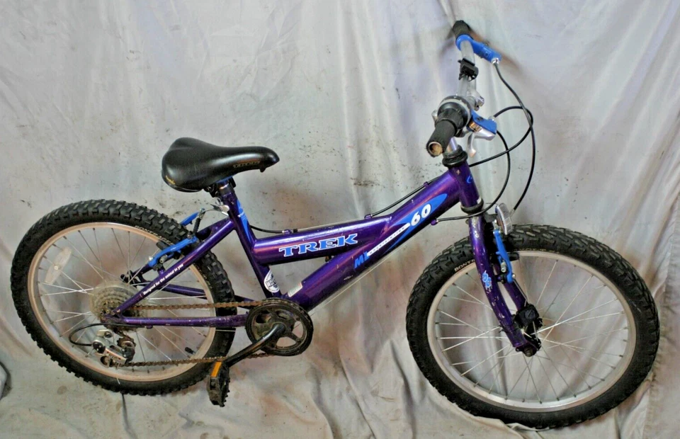 2006 Trek Mountain Lion 60 20" Bicicleta para niños 6 velocidades Shimano Purple Steel ¡Envíos a EE. UU.! Foto 1 de 4