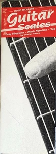Learn To Play Guitar Scales Music Case Book - Easy Diagrams Notes TAB - Amore C6 - Picture 1 of 3