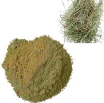 Bhumi-Amla Powder (Phyllanthus Niruri) 100g Uk Seller Free Delivery