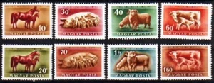 HUNGARY - 1951. Animals - MNH - Picture 1 of 1