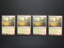 MTG Razorverge Thicket x4 LP Playset Scars Of Mirrodin Fast Ship! (JankNDthings)