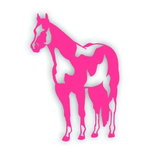 H PAINT quarter HORSE stallion mare decal for tack box farm truck trailer PINK - Picture 1 of 1