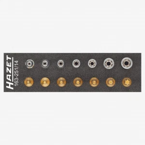 Hazet 163-251/14 1/4" Internal and External Torx Socket Set, 14 PIeces - Picture 1 of 1