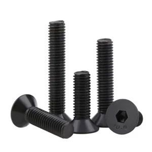 M10 M12 M16 M20 BULLONE SVASATO ALTA RESISTENZA 10,9 CSK VITI A BUSSOLA CHIAVE A BRUGOLA - Foto 1 di 53