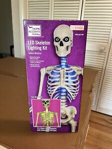 12 Ft Skeleton SKELLY LED Home Accents Lighting Kit Home Depot Halloween