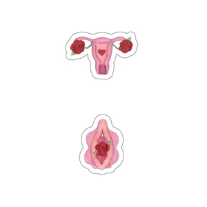 “Vagina and Uterus Blooming” Illustration Kiss-Cut OBGYN Anatomy Vinyl Stickers - Picture 1 of 27